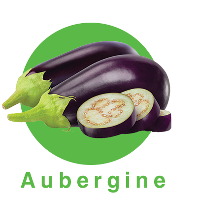 aubergine