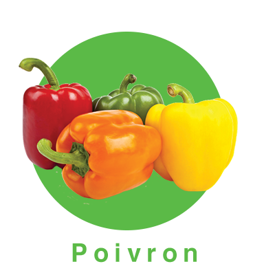 poivron