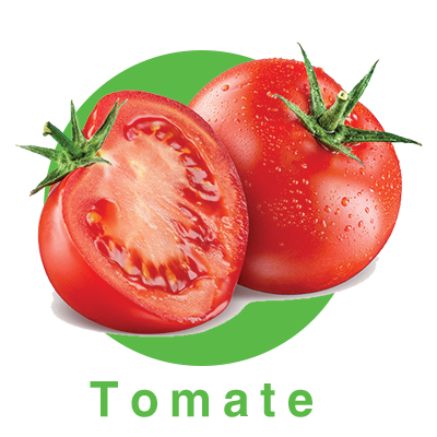 tomate